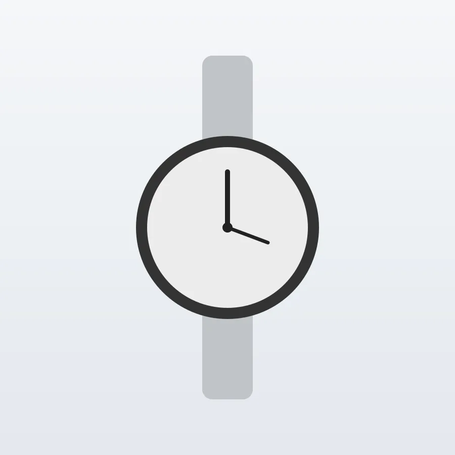 Premium Field Watch — Silver